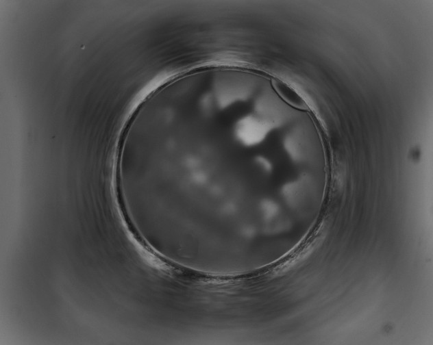 X0000100861245200806201209