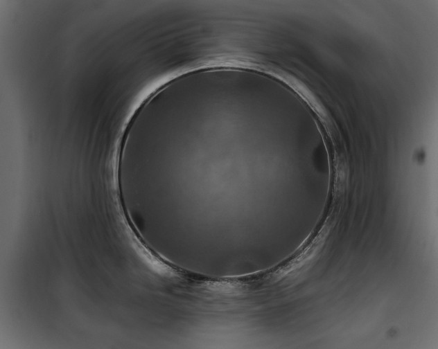 X0000100861246200806201209