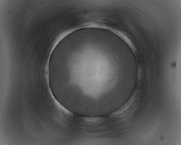 X0000100861247200806201209