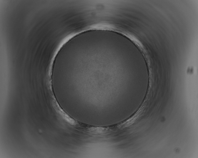 X0000100861248200806201209