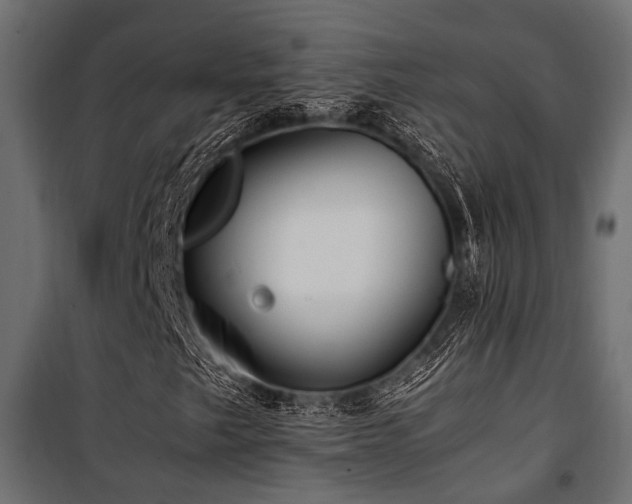 X0000100861249200806201208