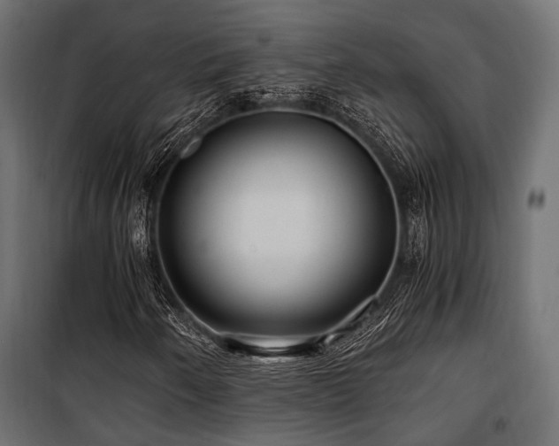 X0000100861250200806201208