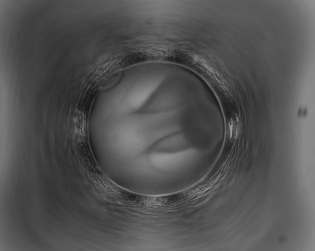 X0000100861251200806201208