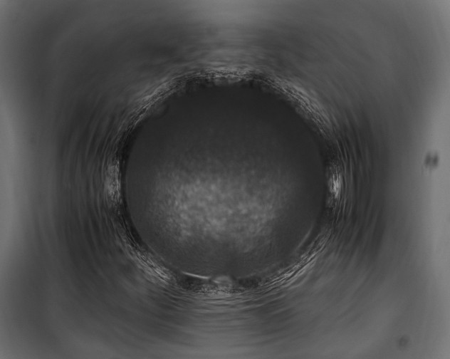 X0000100861252200806201208