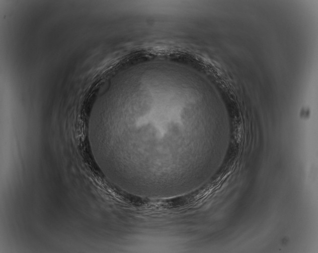 X0000100861253200806201208