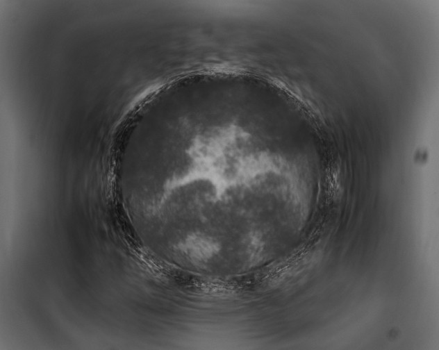 X0000100861254200806201208