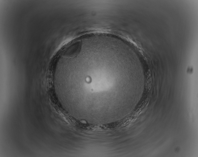 X0000100861255200806201208