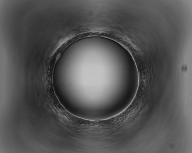 X0000100861256200806201208