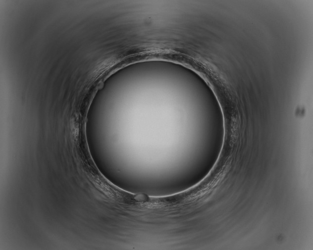 X0000100861257200806201208