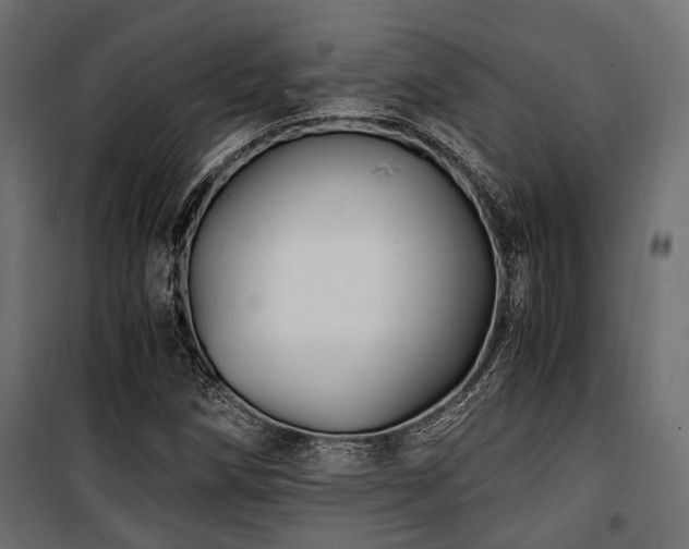 X0000100861258200806201208