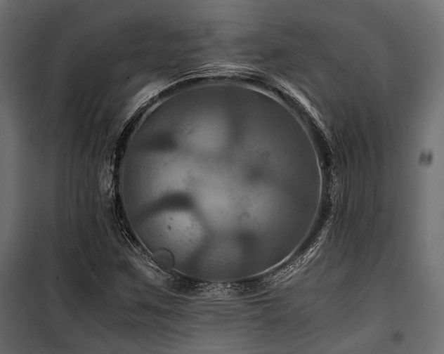 X0000100861259200806201208