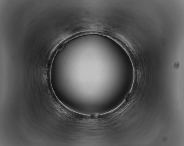 X0000100861260200806201208