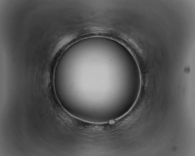 X0000100861261200806201208