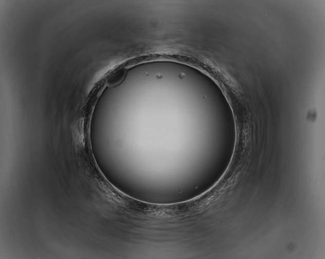 X0000100861262200806201208