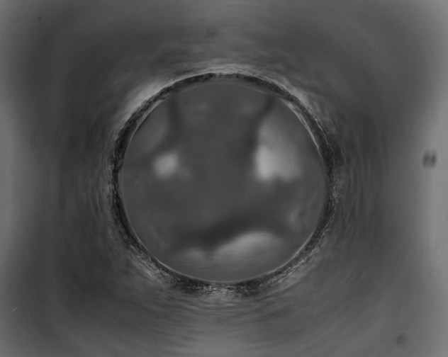 X0000100861263200806201208