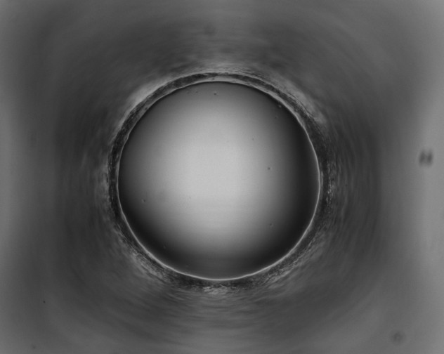 X0000100861264200806201208