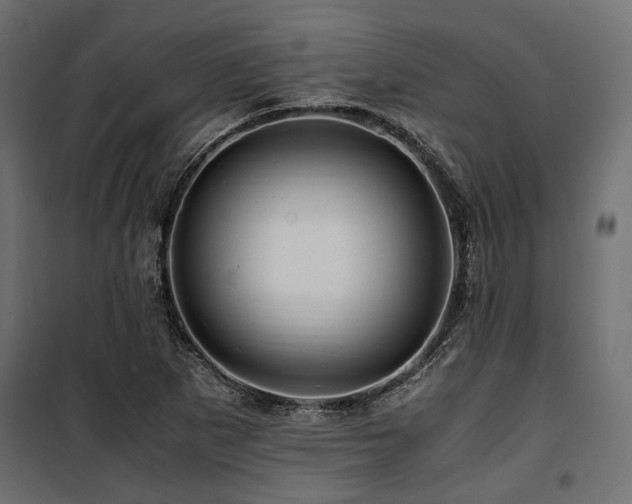 X0000100861265200806201208