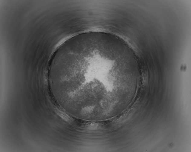 X0000100861266200806201208