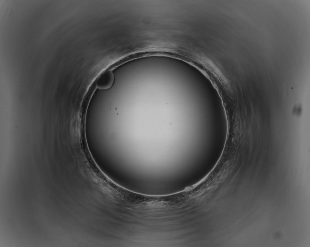 X0000100861268200806201208