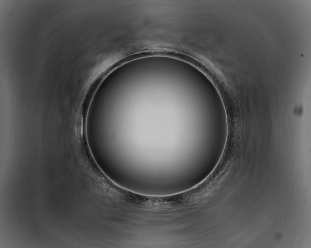 X0000100861269200806201208