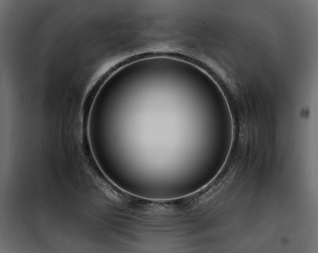 X0000100861270200806201208