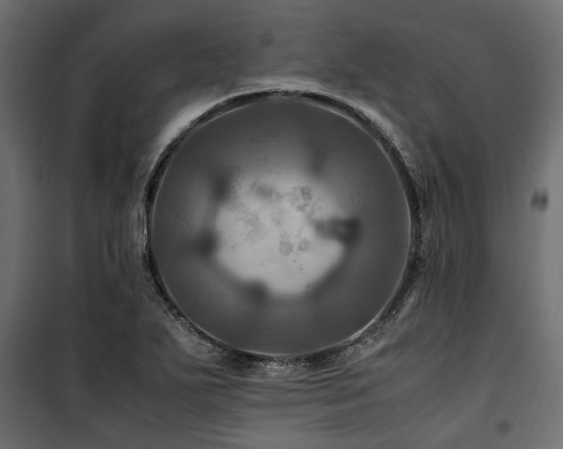 X0000100861271200806201208