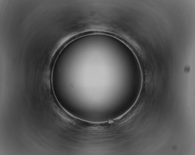 X0000100861272200806201208