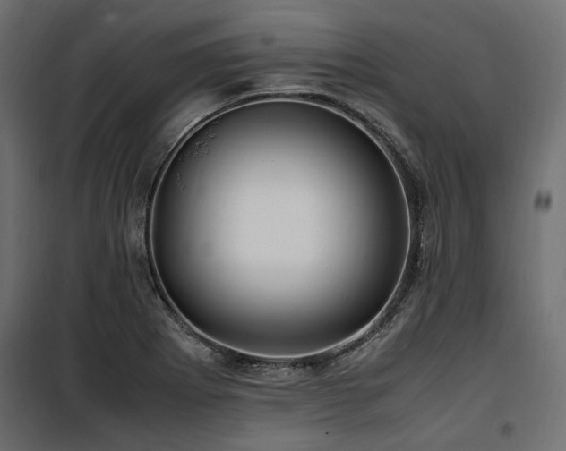 X0000100861273200806201208