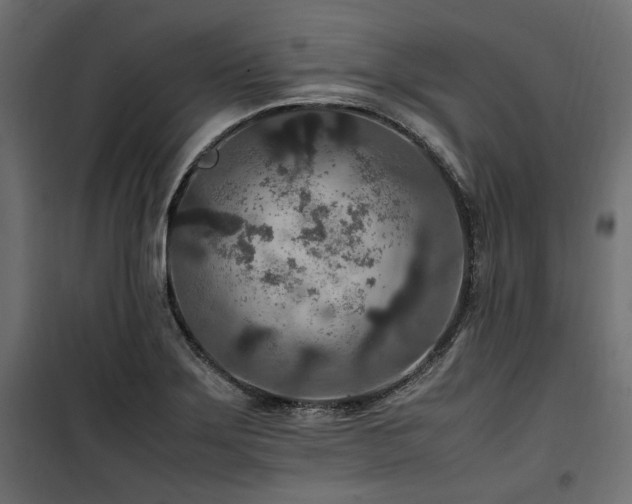 X0000100861275200806201208