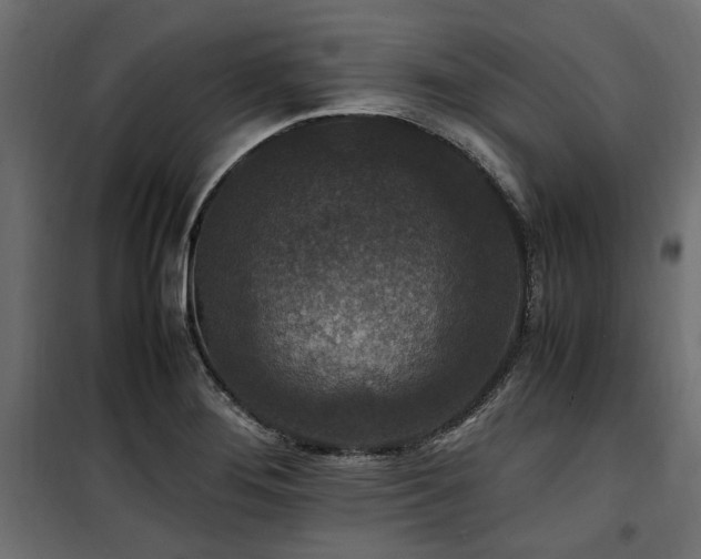 X0000100861276200806201208