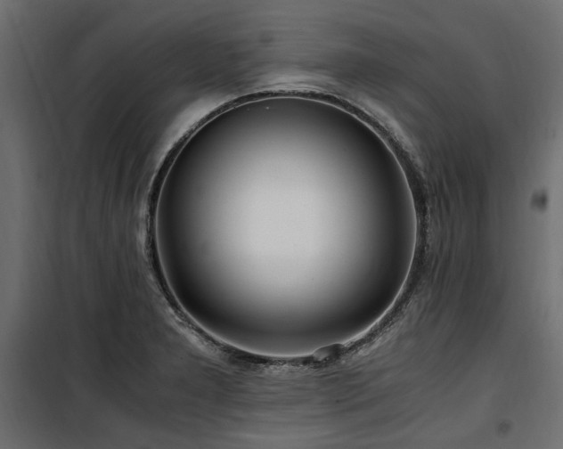 X0000100861277200806201208