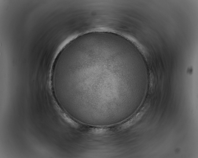 X0000100861278200806201208