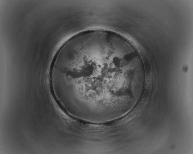 X0000100861279200806201208