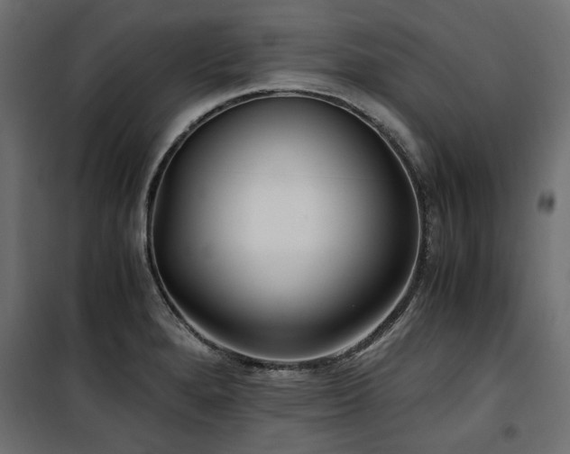 X0000100861280200806201208