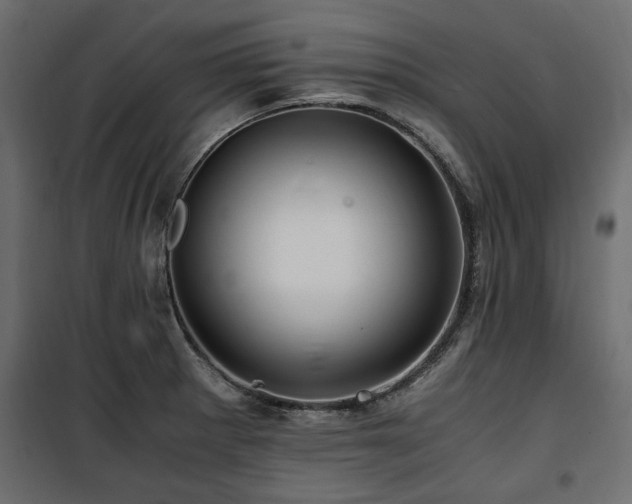 X0000100861281200806201208