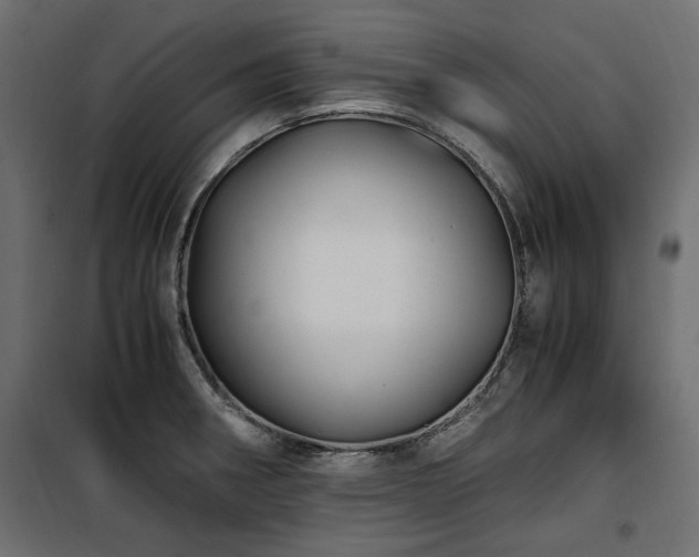 X0000100861282200806201208