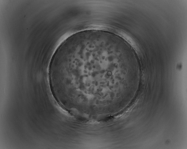 X0000100861283200806201208