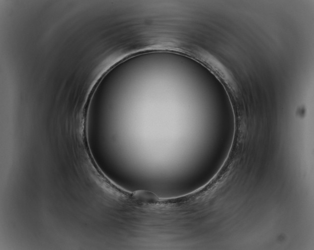 X0000100861284200806201208