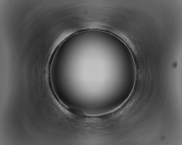 X0000100861285200806201208