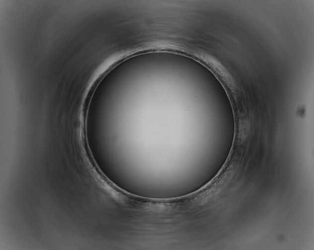 X0000100861286200806201208