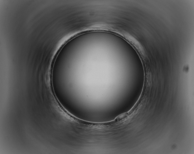 X0000100861288200806201208