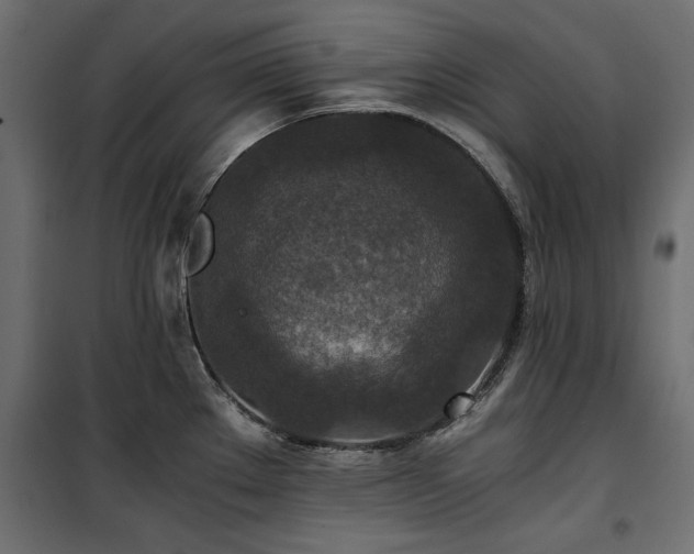 X0000100861289200806201208