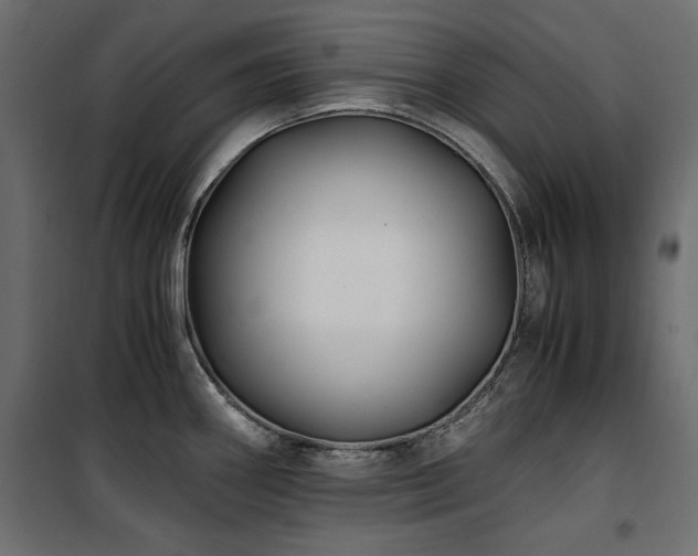 X0000100861290200806201208