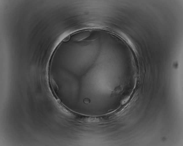 X0000100861291200806201208