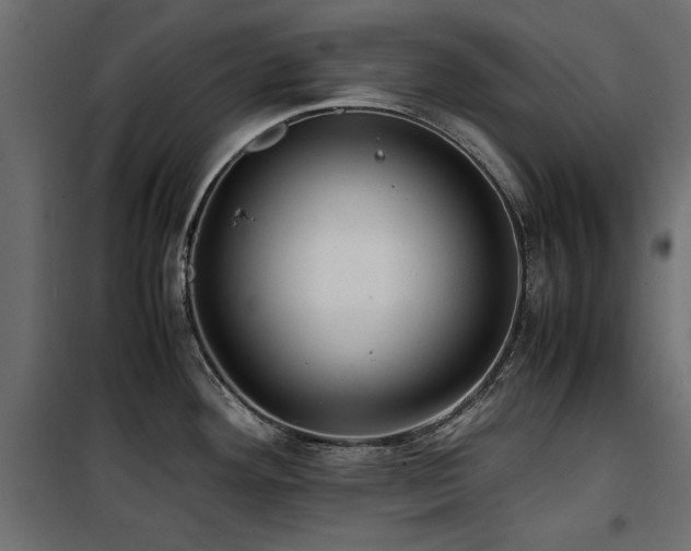 X0000100861292200806201208