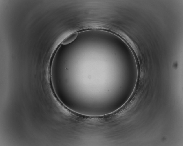 X0000100861293200806201208