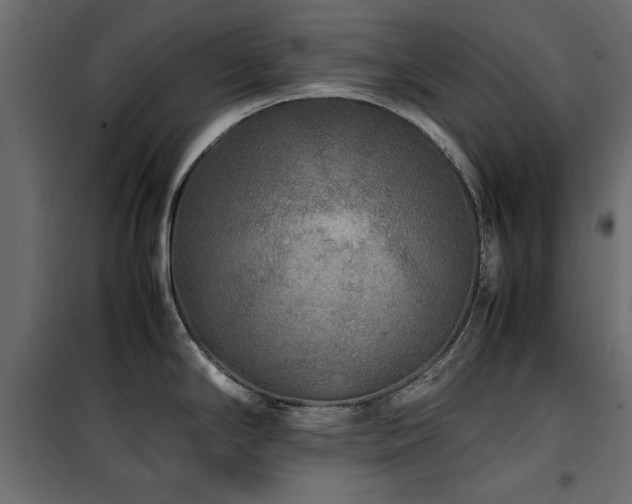 X0000100861294200806201208