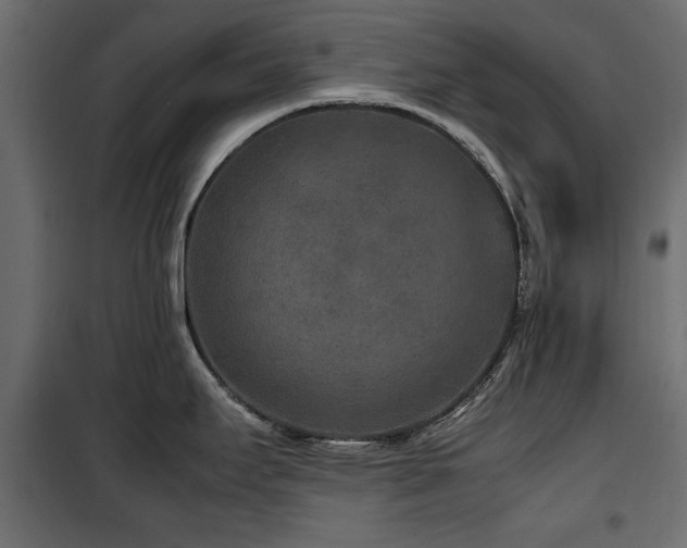 X0000100861295200806201208