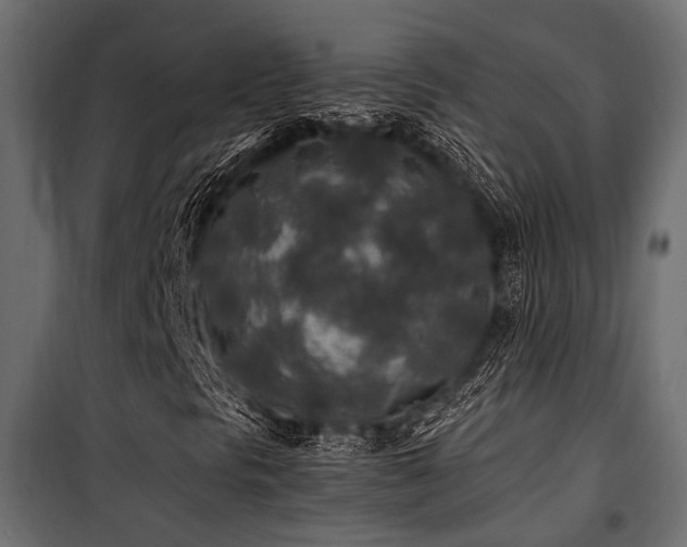 X0000100861297200806201207