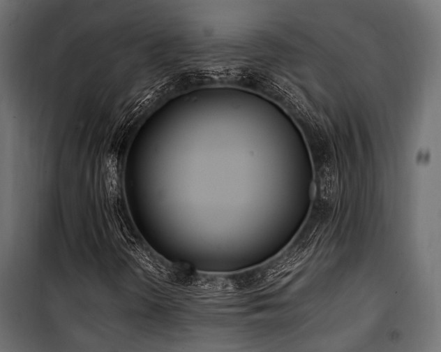 X0000100861298200806201207